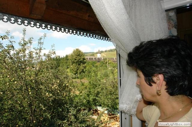 Pension Crizantema Vatra Moldoviţei Dış mekan fotoğraf